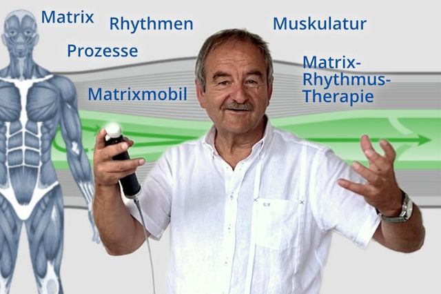 E-Learning-Kurs: Grundlagen der Matrix-Rhythmus-Therapie [Digital]