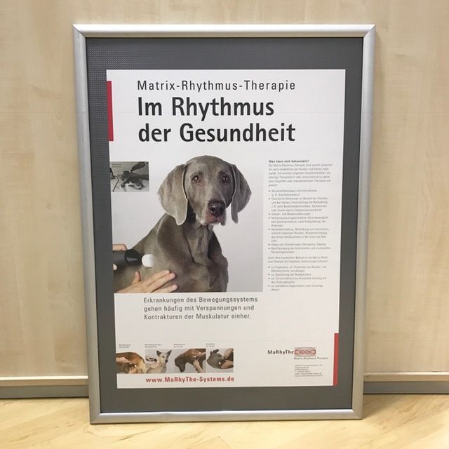 Poster - Kleintierbehandlung