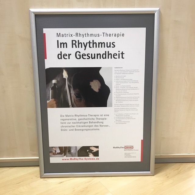 Poster - Pferdebehandlung