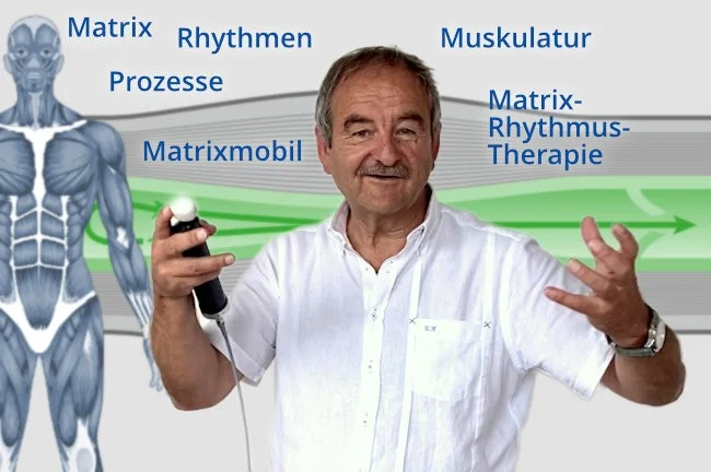 E-Learning-Kurs: Grundlagen der Matrix-Rhythmus-Therapie [Digital]