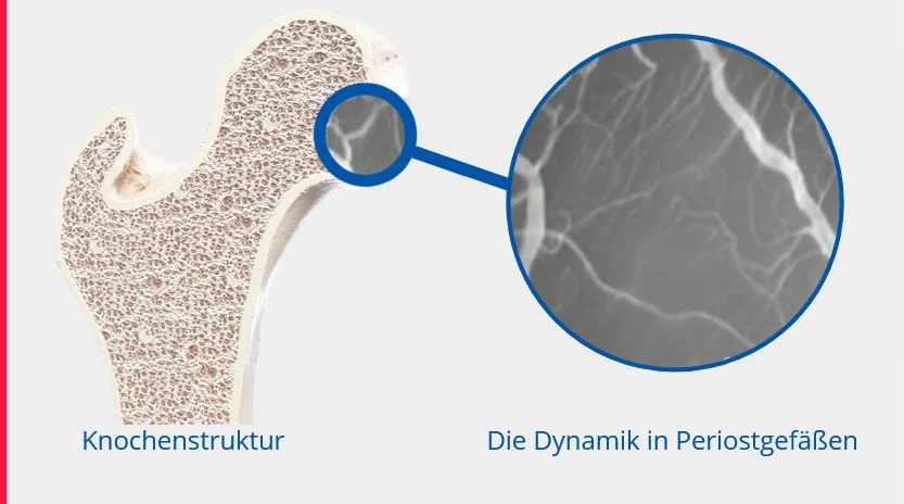 E-Learning-Kurs: Grundlagen der Matrix-Rhythmus-Therapie [Digital]