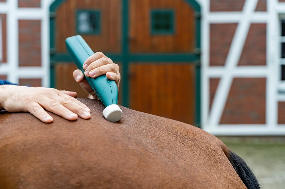 Matrixmobil - alpha synchronizer® - VETERINÄR