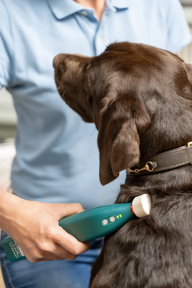 Matrixmobil - alpha synchronizer® - VETERINÄR - zur Miete