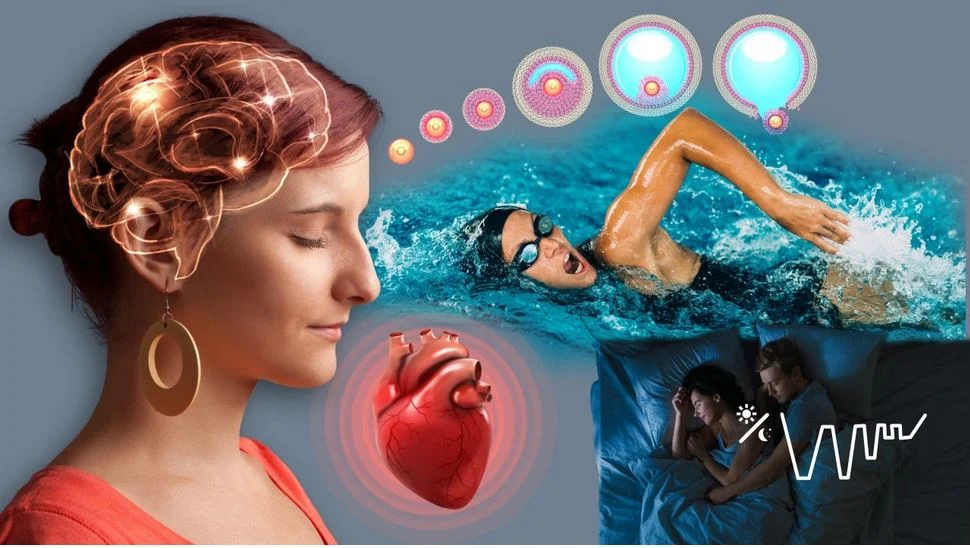 E-Learning-Kurs: Grundlagen der Matrix-Rhythmus-Therapie [Digital]
