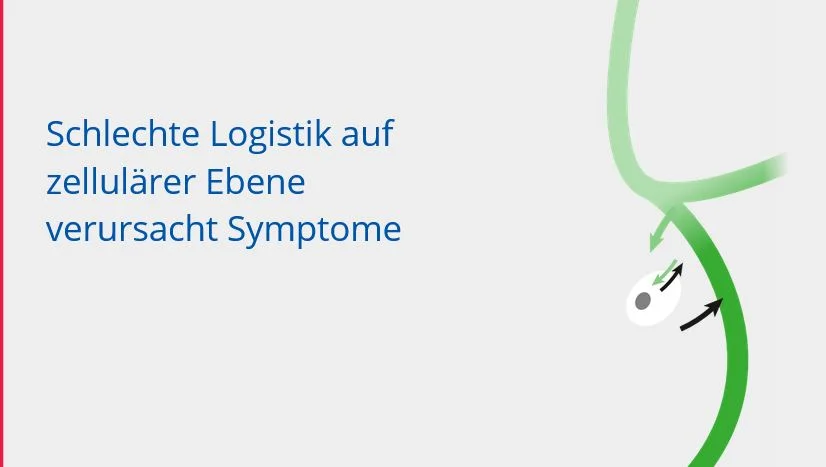 E-Learning-Kurs: Grundlagen der Matrix-Rhythmus-Therapie [Digital]