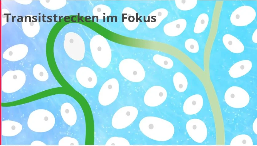 E-Learning-Kurs: Grundlagen der Matrix-Rhythmus-Therapie [Digital]