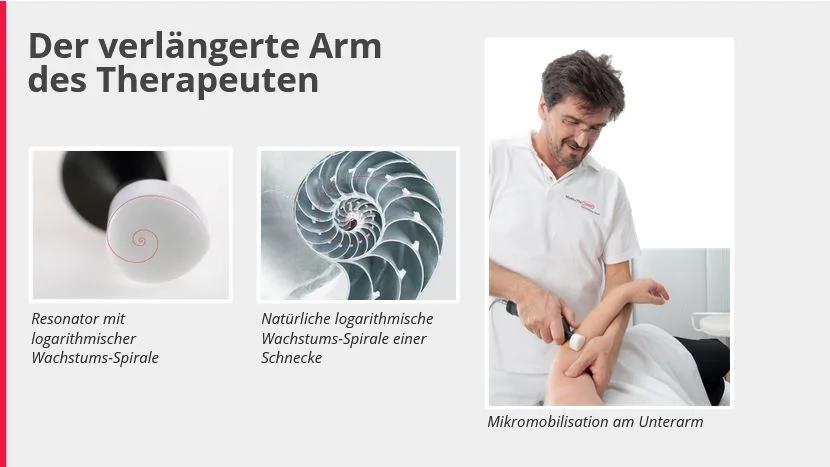E-Learning-Kurs: Grundlagen der Matrix-Rhythmus-Therapie [Digital]